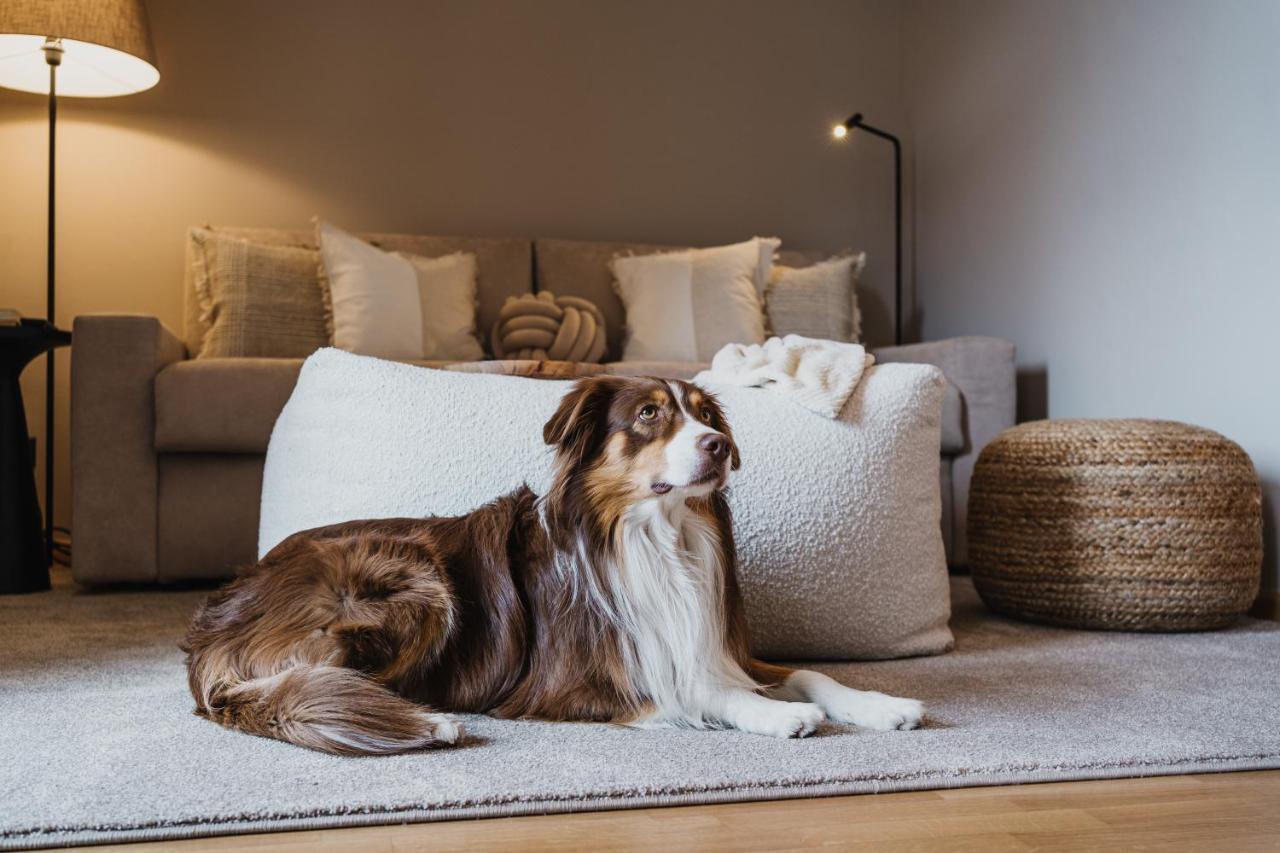 Meralino Boutique Apartment メラーノ エクステリア 写真
